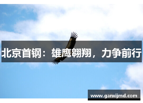 北京首钢:雄鹰翱翔,力争前行